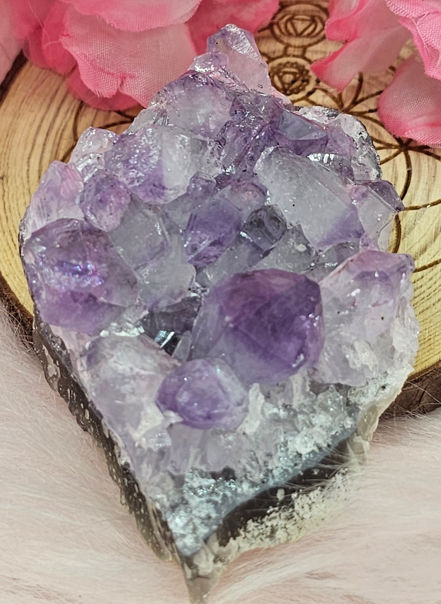 Amethyst Cluster