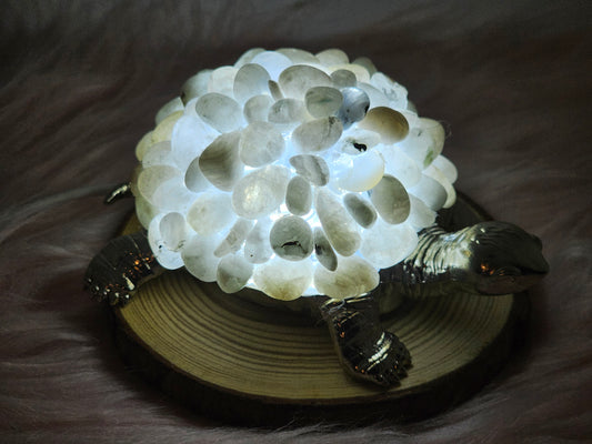 Rainbow Moonstone Turtle Lamp