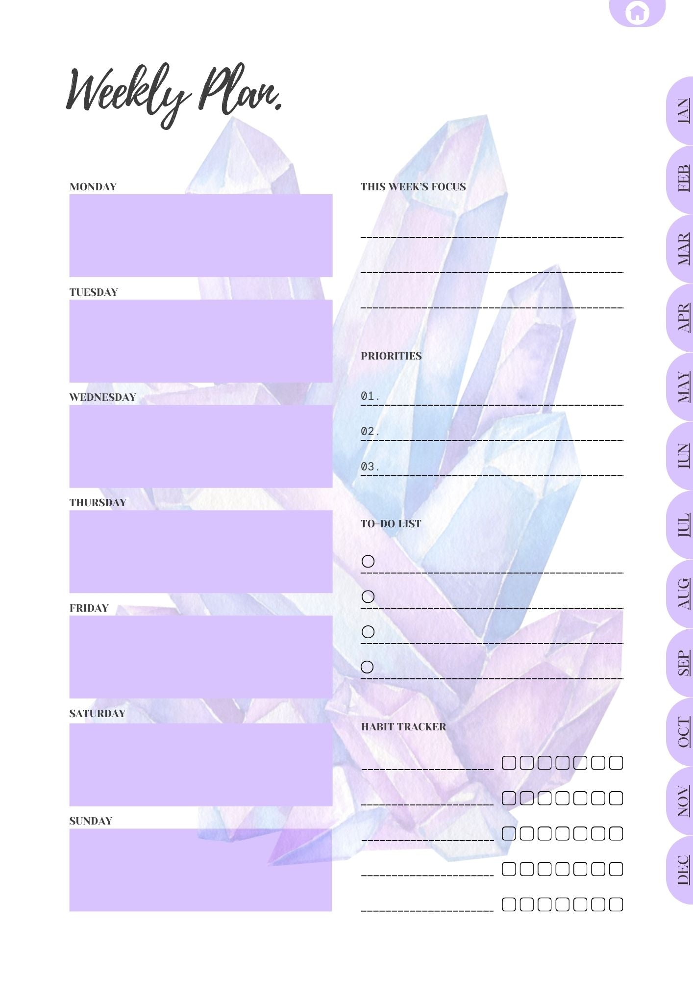 The Crystal-Cutesy 2025 Digital Planner